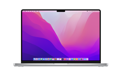 MacBook Pro (M1 Pro, 16-inch)