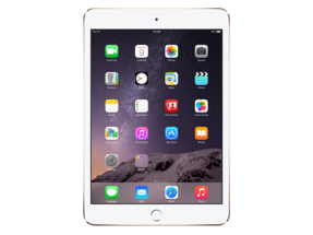 iPad mini 4 (WiFi)